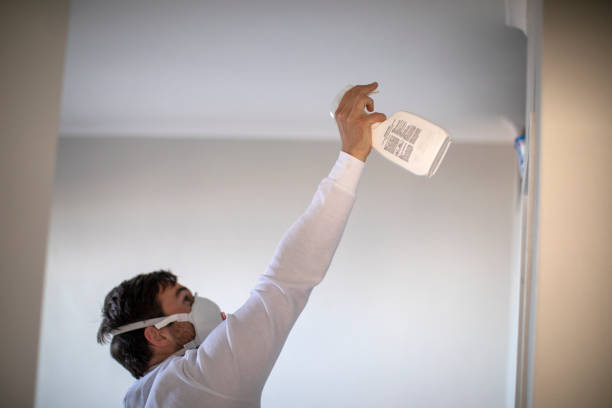 Best Certified Mold Removal  in Gluckstadt, MS